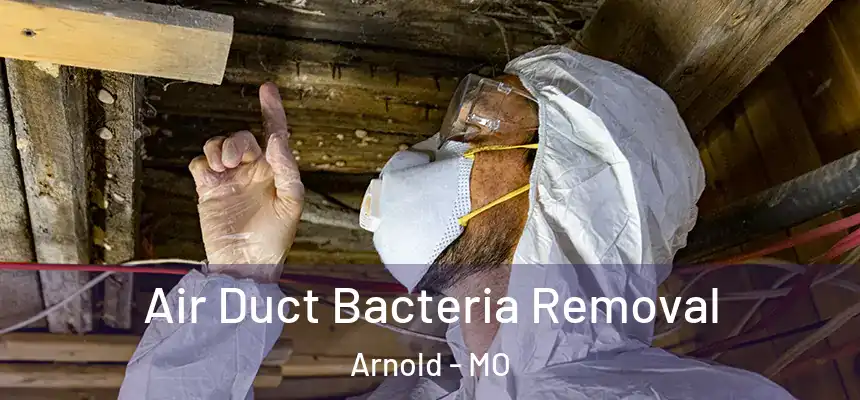  Air Duct Bacteria Removal Arnold - MO