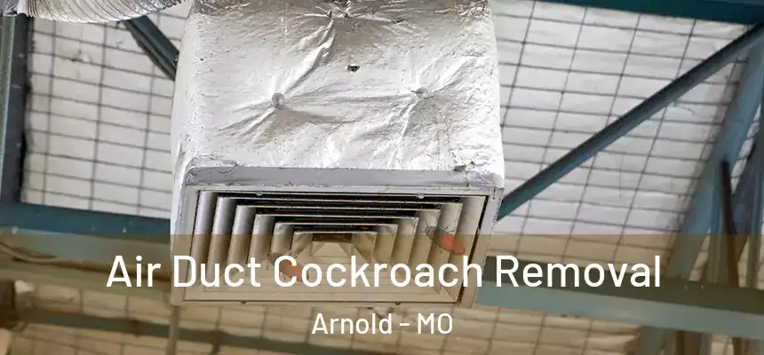  Air Duct Cockroach Removal Arnold - MO