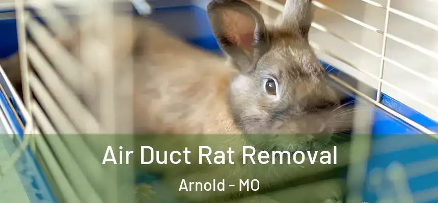  Air Duct Rat Removal Arnold - MO