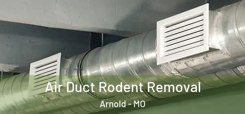  Air Duct Rodent Removal Arnold - MO