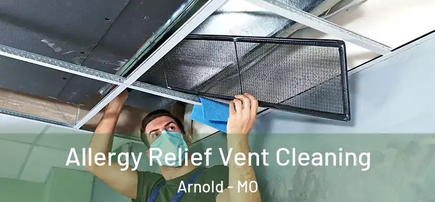 Allergy Relief Vent Cleaning Arnold - MO