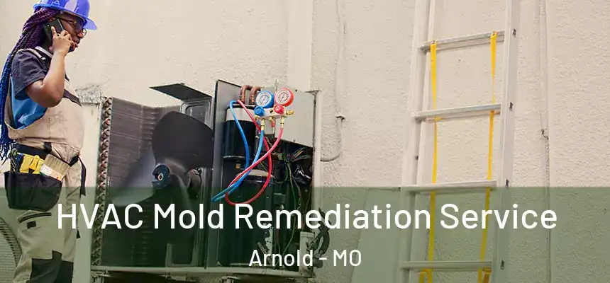  HVAC Mold Remediation Service Arnold - MO