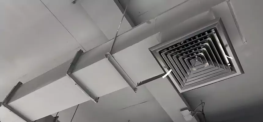 Our Rodent Droppings In Vents Services in Arnold, MO