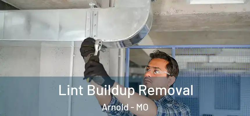  Lint Buildup Removal Arnold - MO