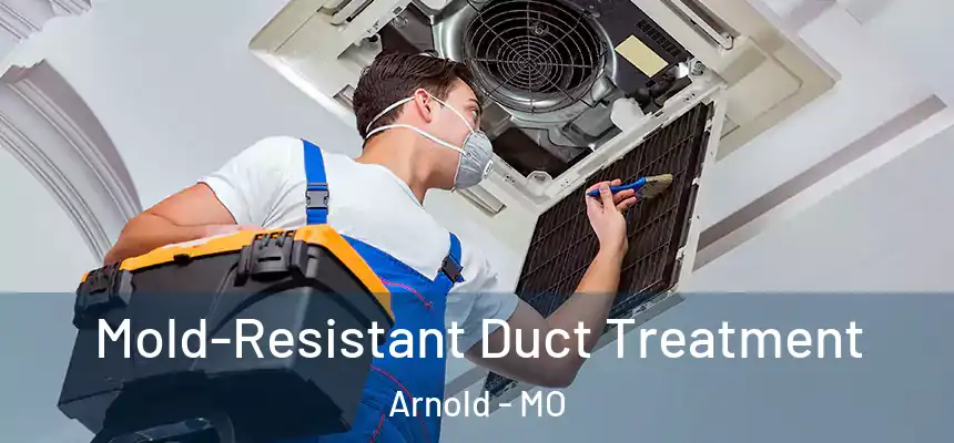  Mold-Resistant Duct Treatment Arnold - MO