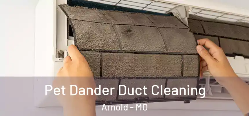 Pet Dander Duct Cleaning Arnold - MO