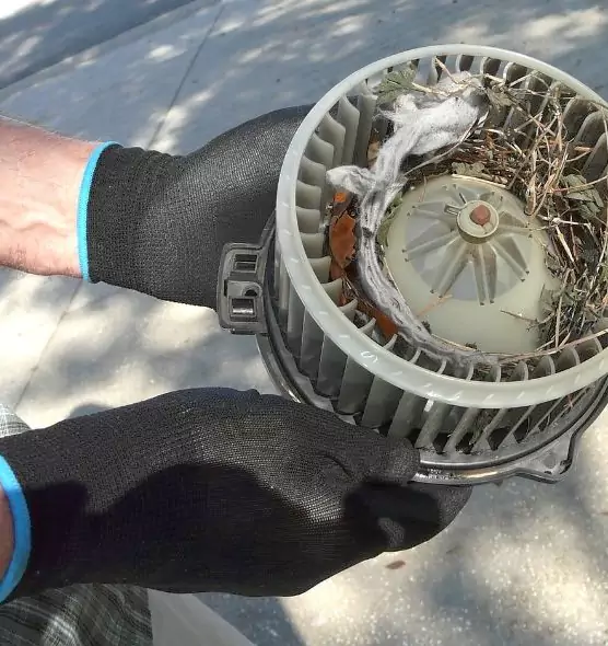 About Air Duct Mice Removal in Arnold, MO