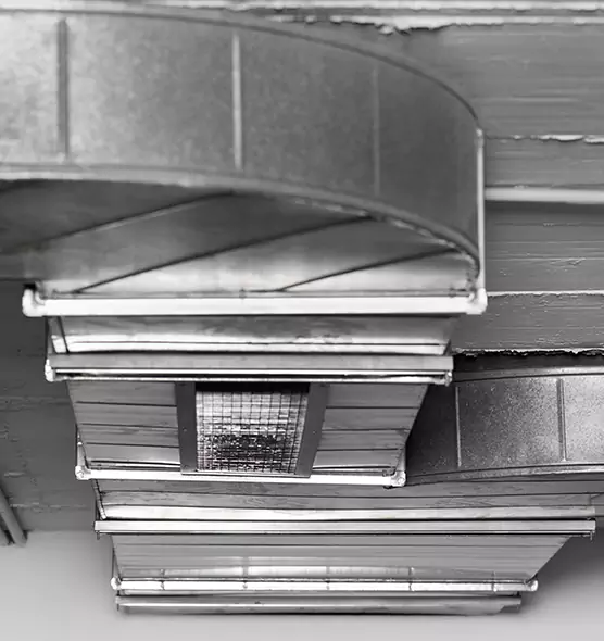 Professional Air Duct Pest Removal in Arnold, MO